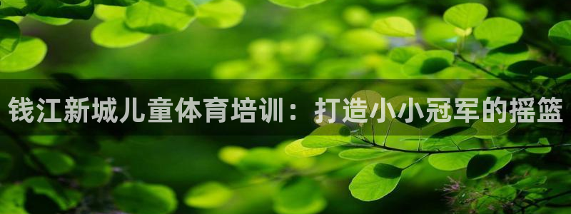 极悦平台官方网址：钱江新城儿童体育培训：打造小小冠军