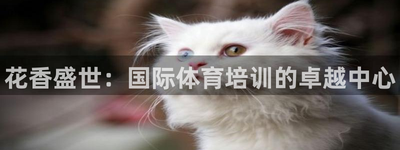 极悦平台注册官方网站下载安卓：花香盛世：国际体育培训
