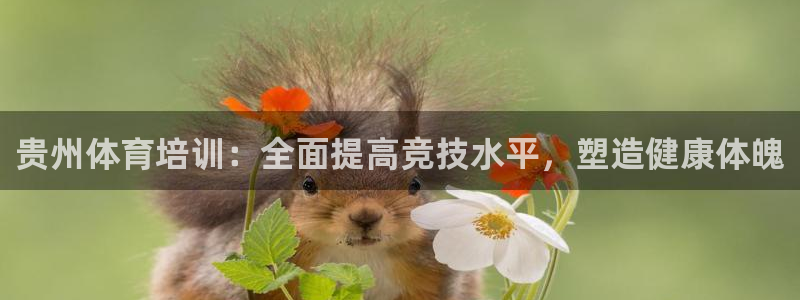 极悦娱乐股东结构：贵州体育培训：全面提高竞技水平，塑