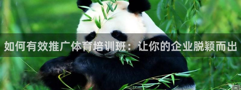 极悦平台官方网站入口下载：如何有效推广体育培训班：让