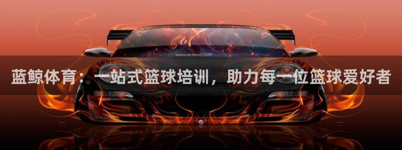 极悦平台注册失败如何解决方法：蓝鲸体育：一站式篮球培