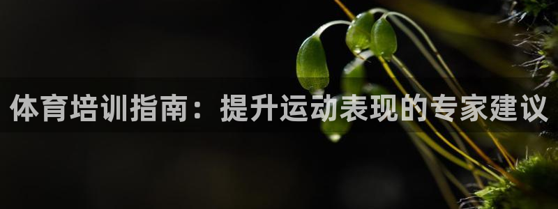 极悦娱乐app官方版本更新内容下载：体育培训指南：提