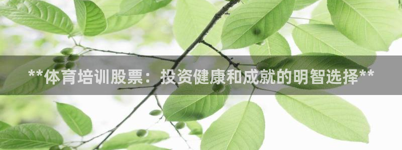 极悦娱乐的最新版本更新内容是什么：**体育培训股票：