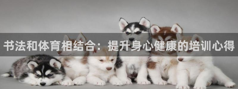 极悦平台与网易合作详情在哪：书法和体育相结合：提升身