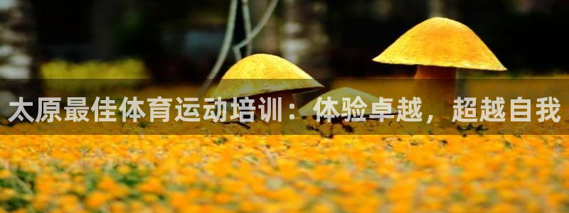 极悦平台用户反馈和反馈一样吗：太原最佳体育运动培训：