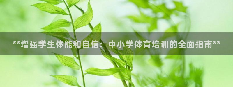 极悦官网旗舰店：**增强学生体能和自信：中小学体育培