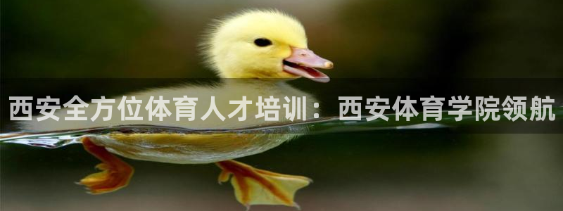 极悦牙膏怎么样好用吗：西安全方位体育人才培训：西安体