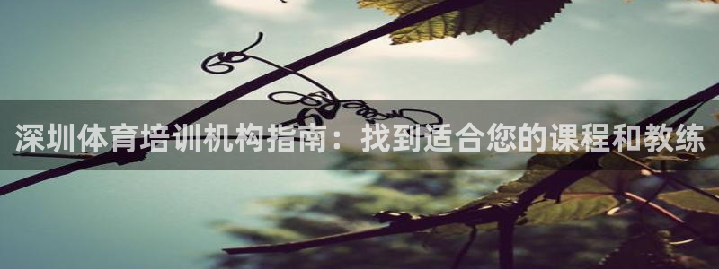 极悦平台注册流程图片：深圳体育培训机构指南：找到适合