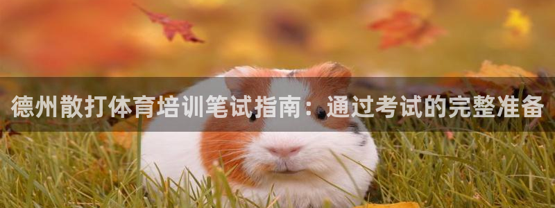 极悦平台是干嘛的公司：德州散打体育培训笔试指南：通过