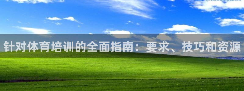 极悦平台客服团队介绍：针对体育培训的全面指南：要求、