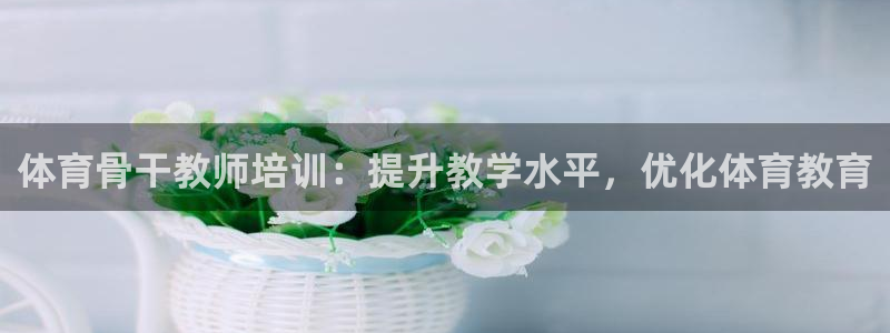 极悦平台注册登录入口网址：体育骨干教师培训：提升教学