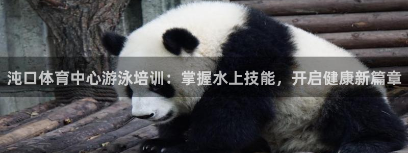 极悦平台代理怎么做的：沌口体育中心游泳培训：掌握水上