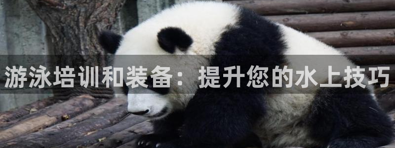 极悦平台安全吗：游泳培训和装备：提升您的水上技巧