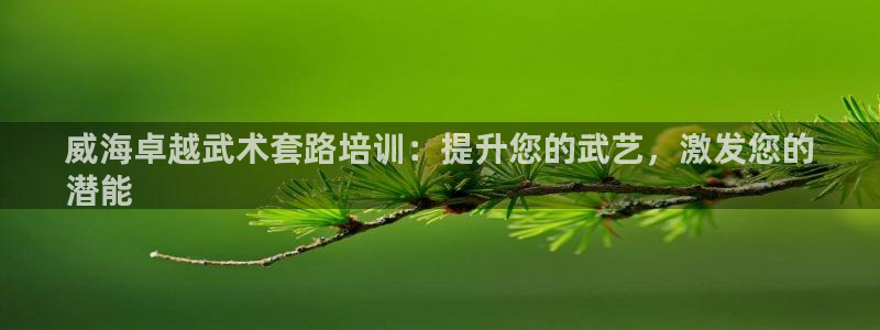 极悦官方网站入口网址：威海卓越武术套路培训：提升您的