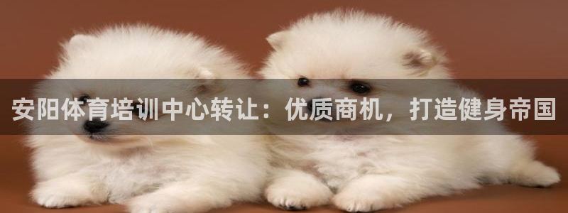 极悦娱乐代理多少钱一个月：安阳体育培训中心转让：优质