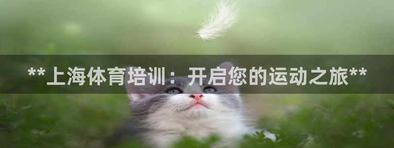 极悦平台使用教程：**上海体育培训：开启您的运动之旅