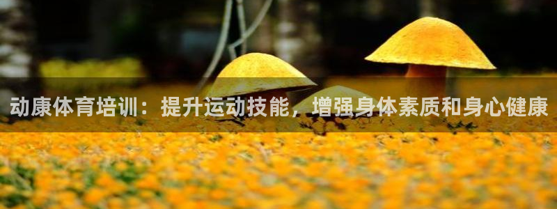 极悦娱乐公司最新招聘信息电话：动康体育培训：提升运动