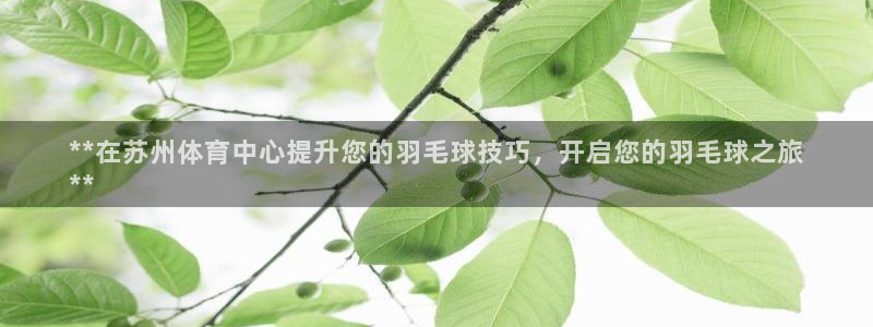 极悦生活家是什么平台的软件：**在苏州体育中心提升您