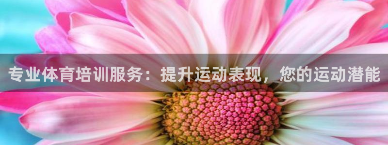 极悦平台app安全吗是真的吗：专业体育培训服务：提升