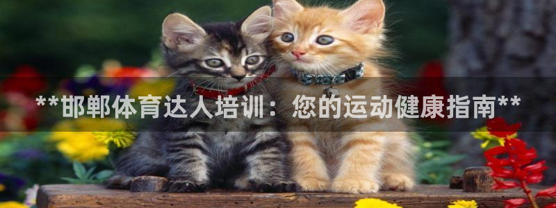极悦娱乐官网下载：**邯郸体育达人培训：您的运动健康