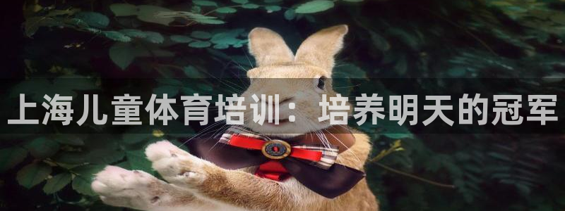 极悦平台好7.0.2.4怎么样：上海儿童体育培训：培养明天的
