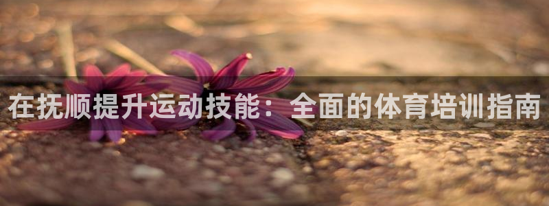 极悦娱乐官网入口：在抚顺提升运动技能：全面的体育培训