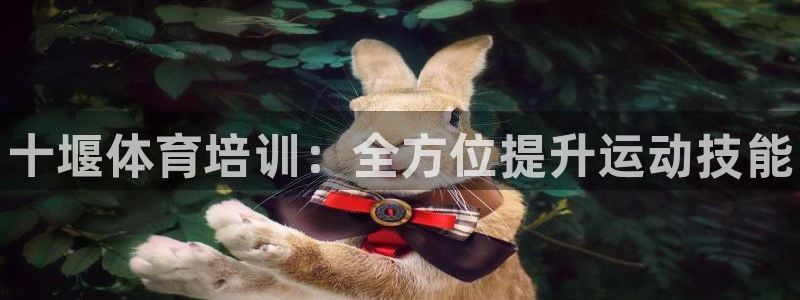 极悦平台官方网站下载安装