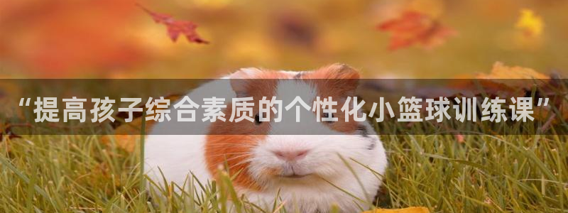 极悦平台官网入口下载：“提高孩子综合素质的个性化小篮球训练课