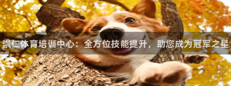 极悦平台家7O777：崇仁体育培训中心：全方位技能提升，助您