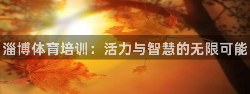 极悦官网：淄博体育培训：活力与智慧的无限可能