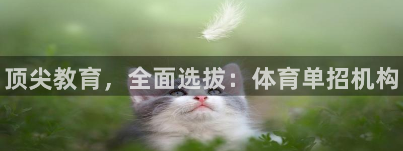 极悦娱乐挂机赚钱是真的吗知乎