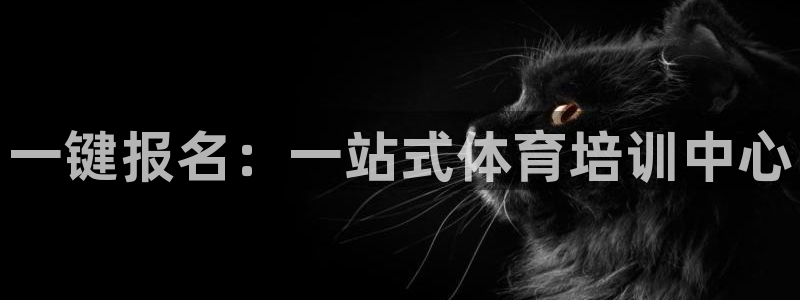 极悦平台注册登录不了：一键报名：一站式体育培训中心